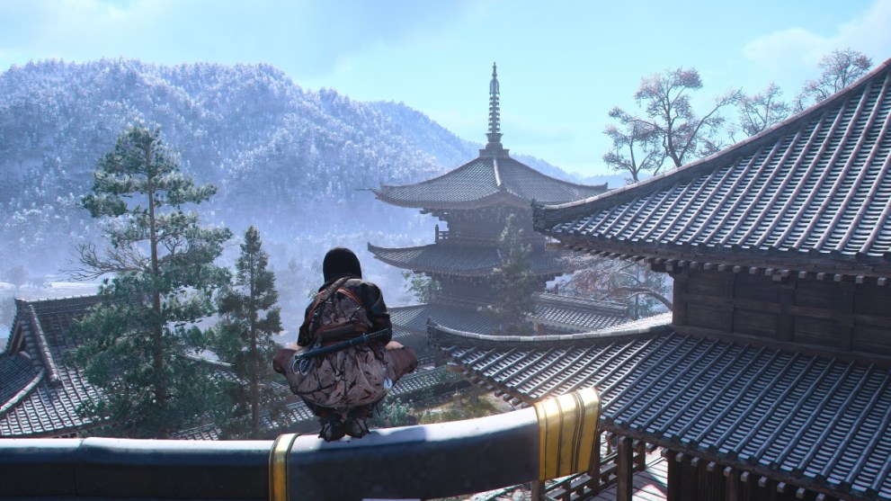 Assassin's Creed Shadows gameplay of Naoe looking at the view of a temple, used for the game's review