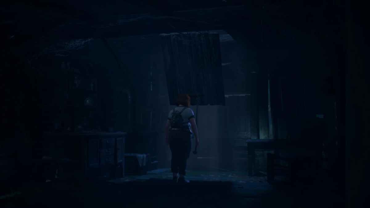 Swann opening an attic door in Lost Records.